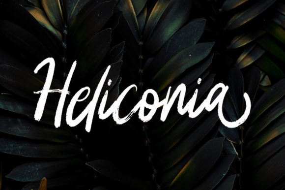 Bring Your Handmade Creations to Life with Heliconia Font