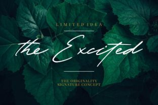 Discover The Excited: A Charming Display Font for Editorial Design