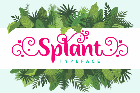 Elevate Your Editorial Design with Splant Font