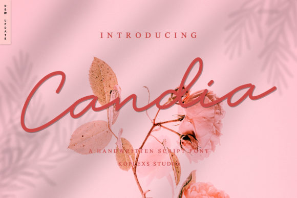 Enhance Your Campaigns with Candia: A Versatile Script Amp Font