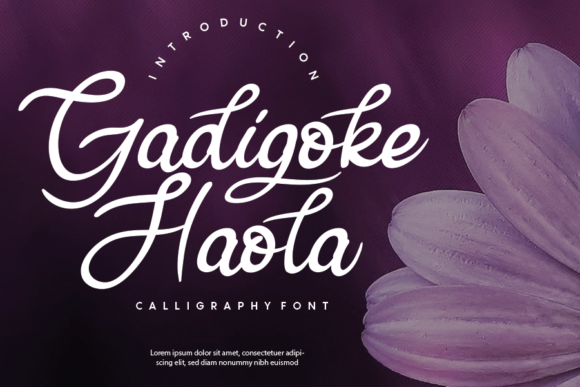Gadigoke Haola: A Charming and Elegant Script Font