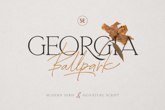 Georgia Ballpark: A Duo Font for Elegant Web Design