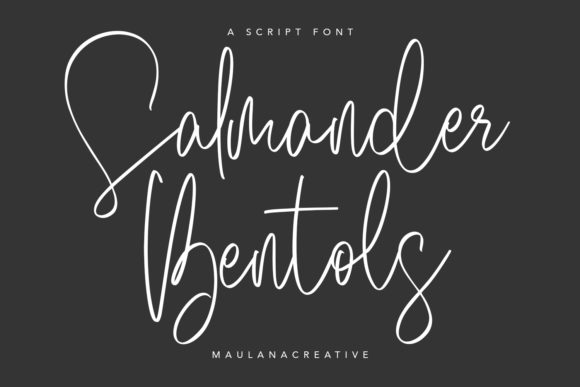 Salmander Bentols: A Handwritten Font for Distinct Web Design